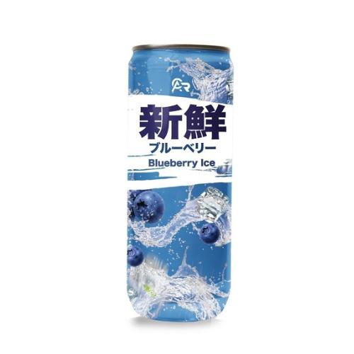 Fresh Asien Blueberry Ice Erfrischungsgetränk 330ml